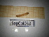  ( - SapCol033)  @11 [ ] CreativeCommons Attribution (2025) Dept Invertebrate Zoology and Hydrobiology, University of Lodz University of Lodz