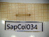  ( - SapCol034)  @11 [ ] CreativeCommons Attribution (2025) Dept Invertebrate Zoology and Hydrobiology, University of Lodz University of Lodz