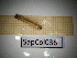  ( - SapCol036)  @11 [ ] CreativeCommons Attribution (2025) Dept Invertebrate Zoology and Hydrobiology, University of Lodz University of Lodz