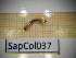  ( - SapCol037)  @11 [ ] CreativeCommons Attribution (2025) Dept Invertebrate Zoology and Hydrobiology, University of Lodz University of Lodz
