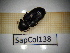 ( - SapCol138)  @11 [ ] CreativeCommons Attribution (2025) Dept Invertebrate Zoology and Hydrobiology, University of Lodz University of Lodz