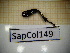  ( - SapCol149)  @11 [ ] CreativeCommons Attribution (2025) Dept Invertebrate Zoology and Hydrobiology, University of Lodz University of Lodz