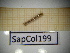  ( - SapCol199)  @11 [ ] CreativeCommons Attribution (2025) Dept Invertebrate Zoology and Hydrobiology, University of Lodz University of Lodz