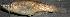  ( - stri-3781)  @12 [ ] Unspecified (default): All Rights Reserved  Unspecified Unspecified