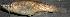  ( - stri-3781)  @13 [ ] Unspecified (default): All Rights Reserved  Unspecified Unspecified