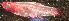  ( - stri-7322)  @12 [ ] Unspecified (default): All Rights Reserved  Unspecified Unspecified