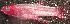  ( - stri-7645)  @12 [ ] Unspecified (default): All Rights Reserved  Unspecified Unspecified