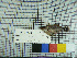  ( - stri-21288)  @12 [ ] Unspecified (default): All Rights Reserved  Unspecified Unspecified