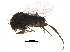  ( - LACM_BOLD_024)  @11 [ ] CreativeCommons - Attribution (2017) CBG Photography Group Centre for Biodiversity Genomics
