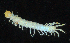  ( - BGE_00515_D10)  @11 [ ] Copyright (c) (2025) Unspecified University of Belgrade - Faculty of Biology
