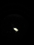  (Disparrhopalites sp. Sip - BGE_00522_D11)  @11 [ ] Attribution Non-Commercial Share-Alike (by-nc-sa) (2013) Marko Lukic Croatian Biospeleological Society, Zagreb
