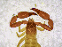  ( - BGE_00503_D03)  @11 [ ] Copyright (2024) Unspecified Croatian Biospeleological Society
