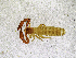  ( - BGE_00503_D03)  @11 [ ] Copyright (2024) Unspecified Croatian Biospeleological Society