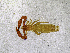  ( - BGE_00503_D03)  @11 [ ] Copyright (2024) Unspecified Croatian Biospeleological Society