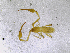  ( - BGE_00503_E12)  @11 [ ] Copyright (2024) Unspecified Croatian Biospeleological Society
