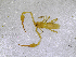  ( - BGE_00503_E12)  @11 [ ] Copyright (2024) Unspecified Croatian Biospeleological Society