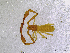  ( - BGE_00503_F01)  @11 [ ] Copyright (2024) Unspecified Croatian Biospeleological Society
