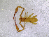  ( - BGE_00503_F01)  @11 [ ] Copyright (2024) Unspecified Croatian Biospeleological Society