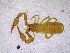  ( - BGE_00503_F03)  @11 [ ] Copyright (2024) Unspecified Croatian Biospeleological Society