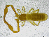  ( - BGE_00502_A05)  @11 [ ] Copyright (2024) Unspecified Croatian Biospeleological Society