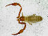  ( - BGE_00503_G07)  @11 [ ] Copyright (2024) Unspecified Croatian Biospeleological Society