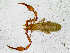  ( - BGE_00503_G07)  @11 [ ] Copyright (2024) Unspecified Croatian Biospeleological Society