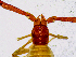 ( - BGE_00503_G09)  @11 [ ] Copyright (2024) Unspecified Croatian Biospeleological Society