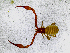  ( - BGE_00503_G09)  @11 [ ] Copyright (2024) Unspecified Croatian Biospeleological Society
