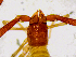  ( - BGE_00503_G12)  @11 [ ] Copyright (2024) Unspecified Croatian Biospeleological Society