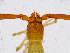  ( - BGE_00503_H01)  @11 [ ] Copyright (2024) Unspecified Croatian Biospeleological Society