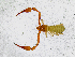  ( - BGE_00503_H01)  @11 [ ] Copyright (2024) Unspecified Croatian Biospeleological Society