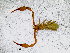  ( - BGE_00503_H01)  @11 [ ] Copyright (2024) Unspecified Croatian Biospeleological Society