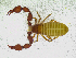  ( - BGE_00501_B11)  @11 [ ] Copyright (2024) Unspecified Croatian Biospeleological Society
