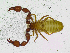  ( - BGE_00501_B11)  @11 [ ] Copyright (2024) Unspecified Croatian Biospeleological Society
