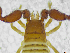  ( - BGE_00501_B12)  @11 [ ] Copyright (2024) Unspecified Croatian Biospeleological Society