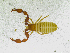  ( - BGE_00501_B12)  @11 [ ] Copyright (2024) Unspecified Croatian Biospeleological Society