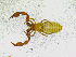  ( - BGE_00501_B12)  @11 [ ] Copyright (2024) Unspecified Croatian Biospeleological Society