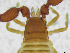  ( - BGE_00501_C01)  @11 [ ] Copyright (2024) Unspecified Croatian Biospeleological Society
