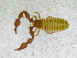  ( - BGE_00501_C01)  @11 [ ] Copyright (2024) Unspecified Croatian Biospeleological Society