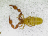  ( - BGE_00501_C01)  @11 [ ] Copyright (2024) Unspecified Croatian Biospeleological Society