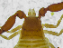  ( - BGE_00501_C02)  @11 [ ] Copyright (2024) Unspecified Croatian Biospeleological Society