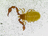  ( - BGE_00501_C02)  @11 [ ] Copyright (2024) Unspecified Croatian Biospeleological Society