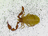  ( - BGE_00501_C02)  @11 [ ] Copyright (2024) Unspecified Croatian Biospeleological Society