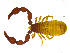 ( - BGE_00501_C03)  @11 [ ] Copyright (2024) Unspecified Croatian Biospeleological Society