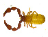  ( - BGE_00501_C03)  @11 [ ] Copyright (2024) Unspecified Croatian Biospeleological Society
