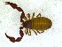  ( - BGE_00501_C04)  @11 [ ] Copyright (2024) Unspecified Croatian Biospeleological Society