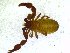  ( - BGE_00501_C04)  @11 [ ] Copyright (2024) Unspecified Croatian Biospeleological Society