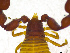 ( - BGE_00501_C05)  @11 [ ] Copyright (2024) Unspecified Croatian Biospeleological Society