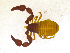  ( - BGE_00501_C05)  @11 [ ] Copyright (2024) Unspecified Croatian Biospeleological Society