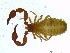  ( - BGE_00501_C06)  @11 [ ] Copyright (2024) Unspecified Croatian Biospeleological Society